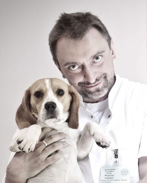 content_vet2