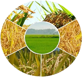 logo_plant